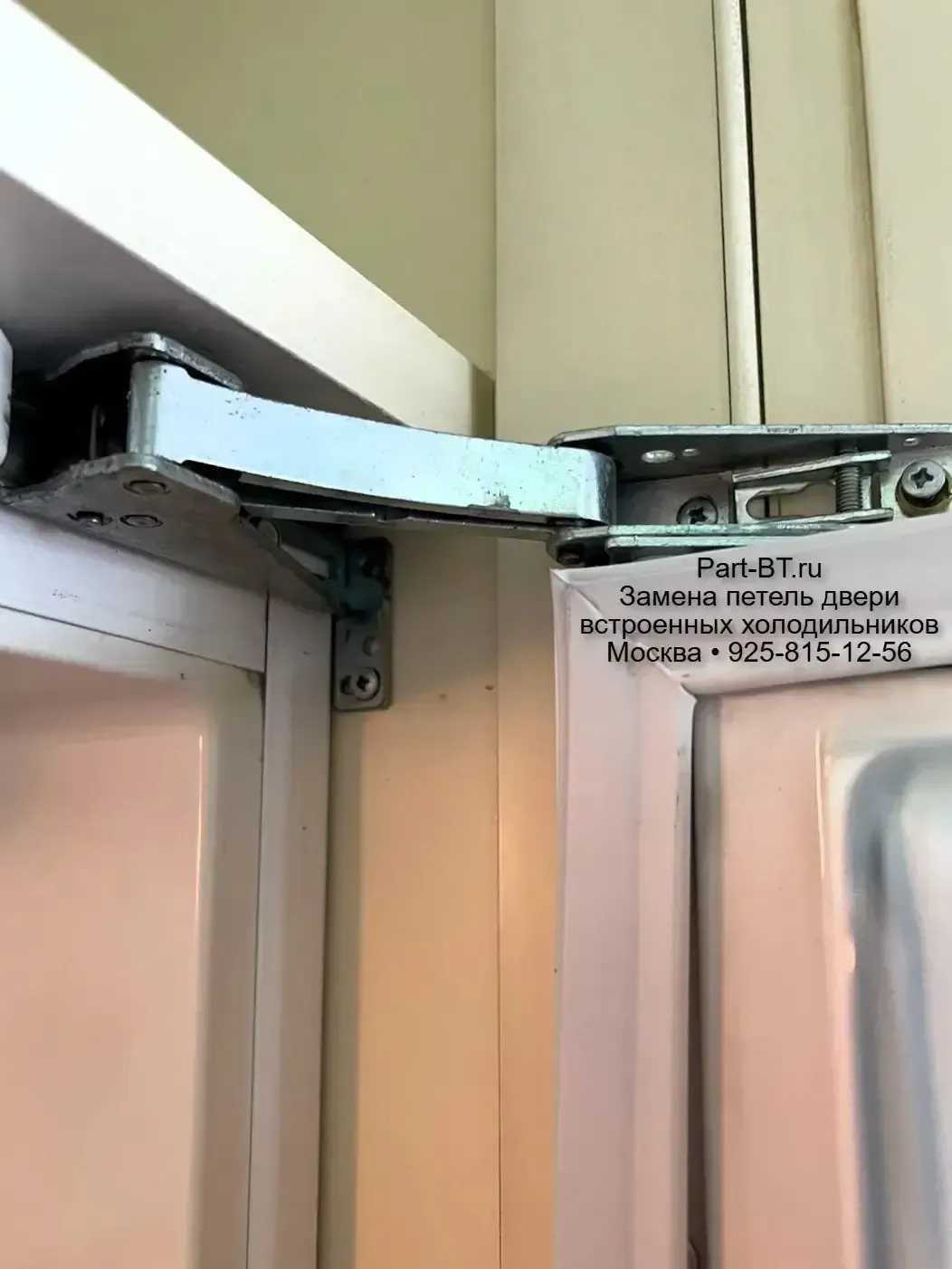 Оригинальные петли Ingol для старых встроенных холодильников Side-by-Side Zanussi