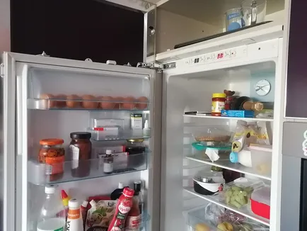 Отзыв о замене петель встроенного холодильника