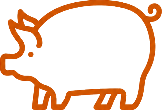 Orange pig icon