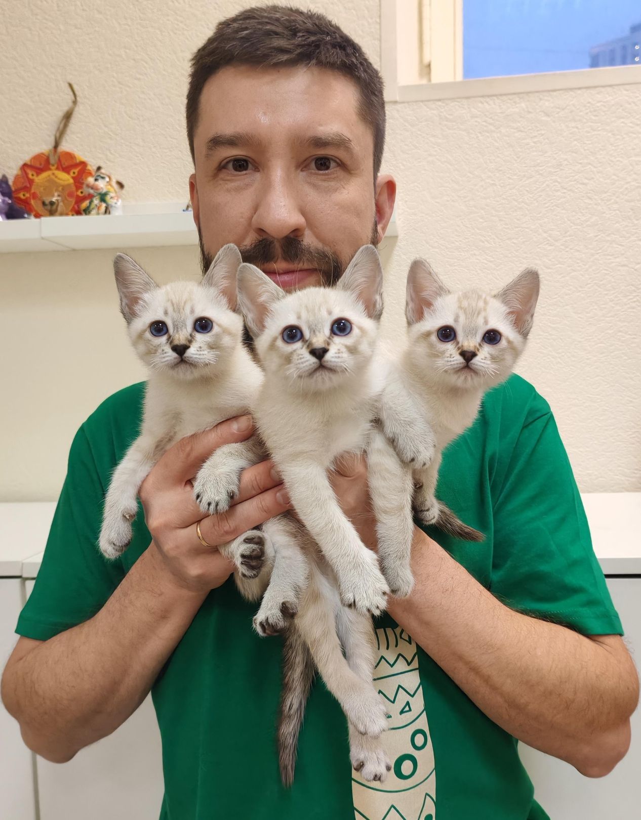 Котята Дом Волгиных