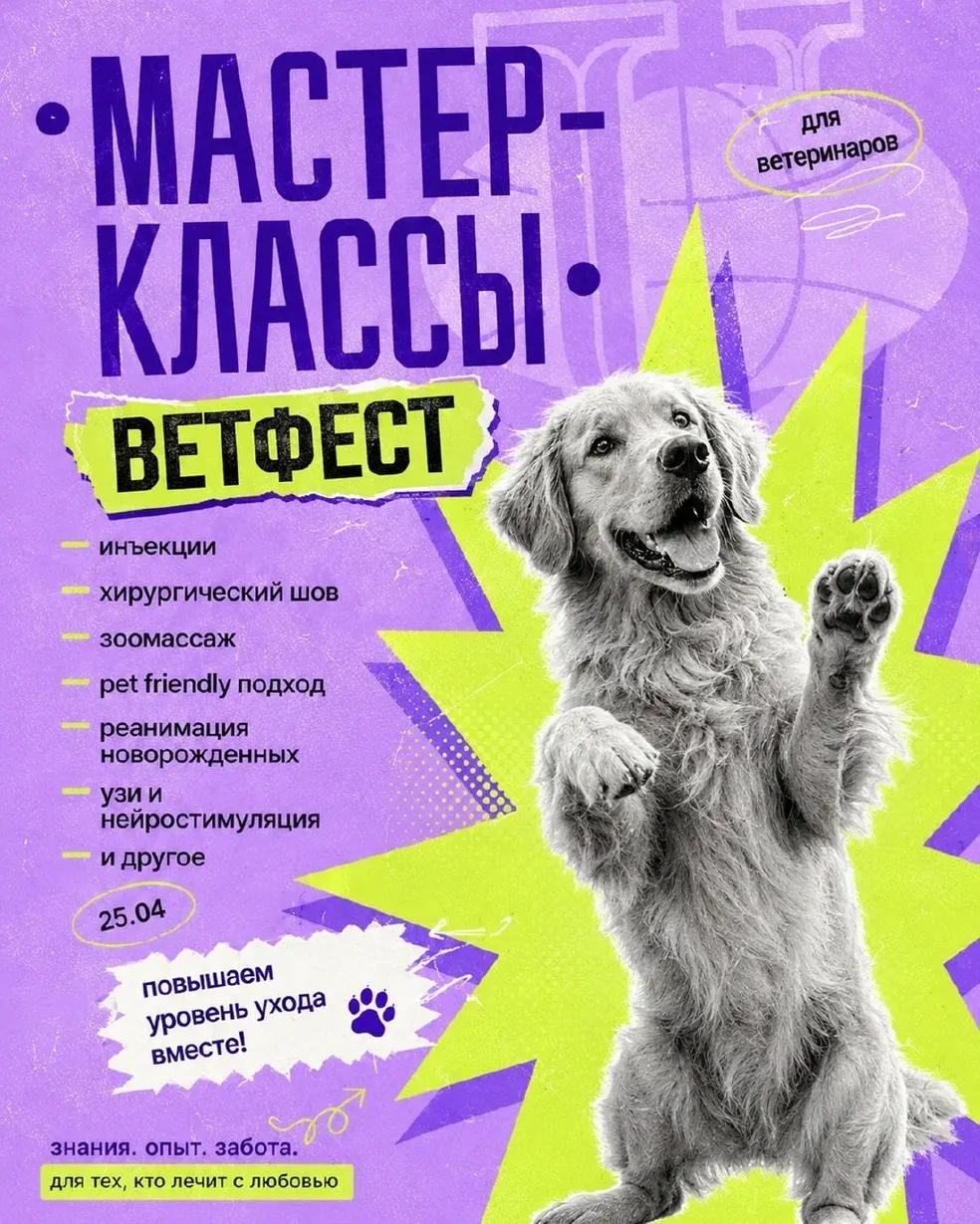 Афиша мастер-классов Ветфест для ветеринарных специалистов