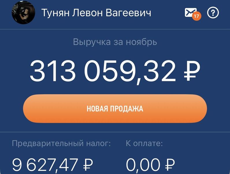 Выручка за ноябрь 313 059 рублей
