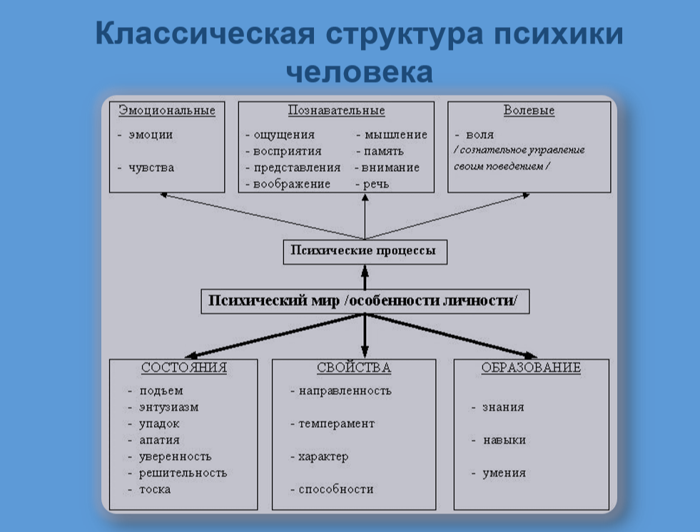 Понятие психики психическое отражение: найдено 88 изображений
