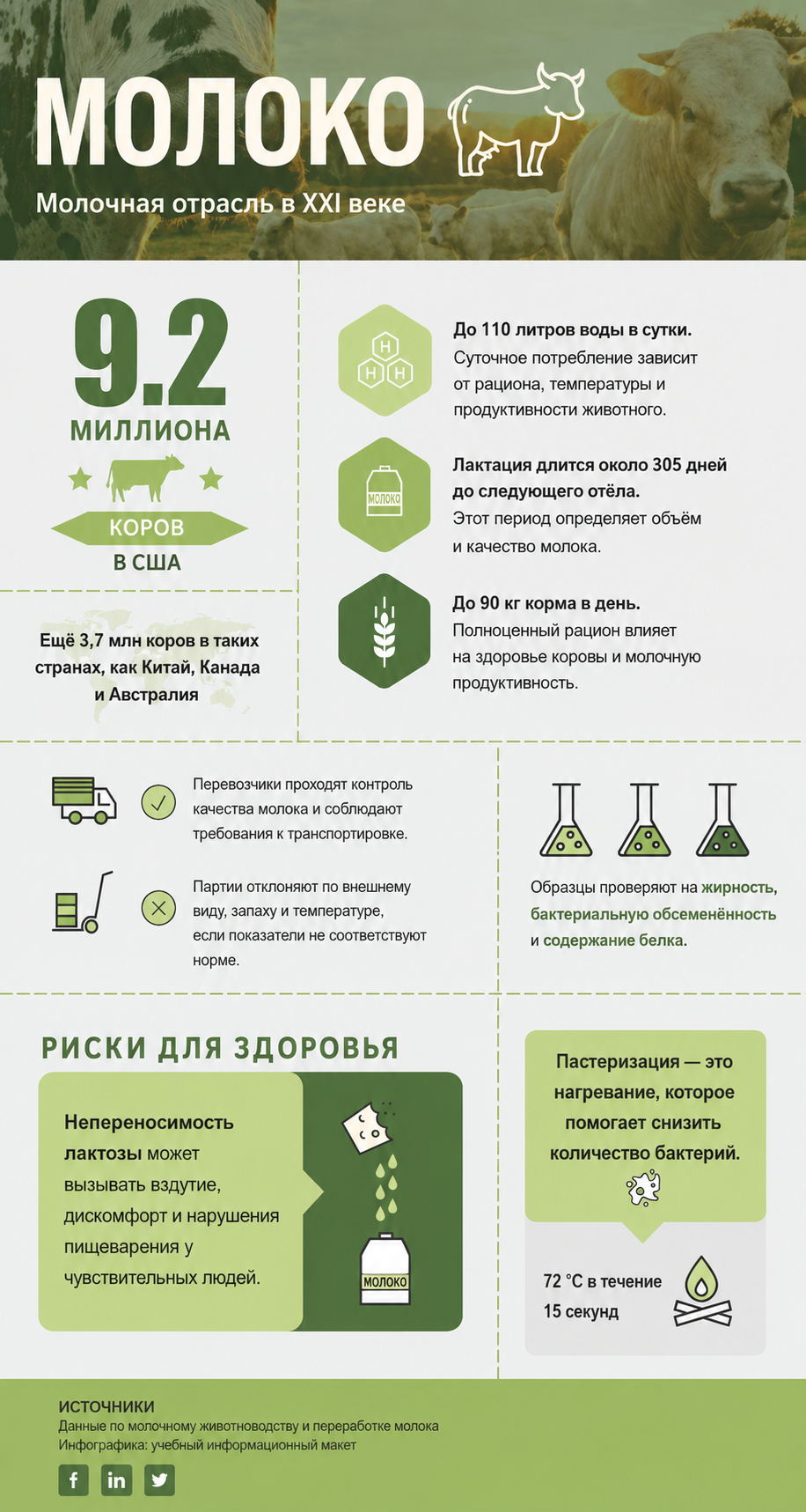 Инфографика Молоко: молочная отрасль в XXI веке