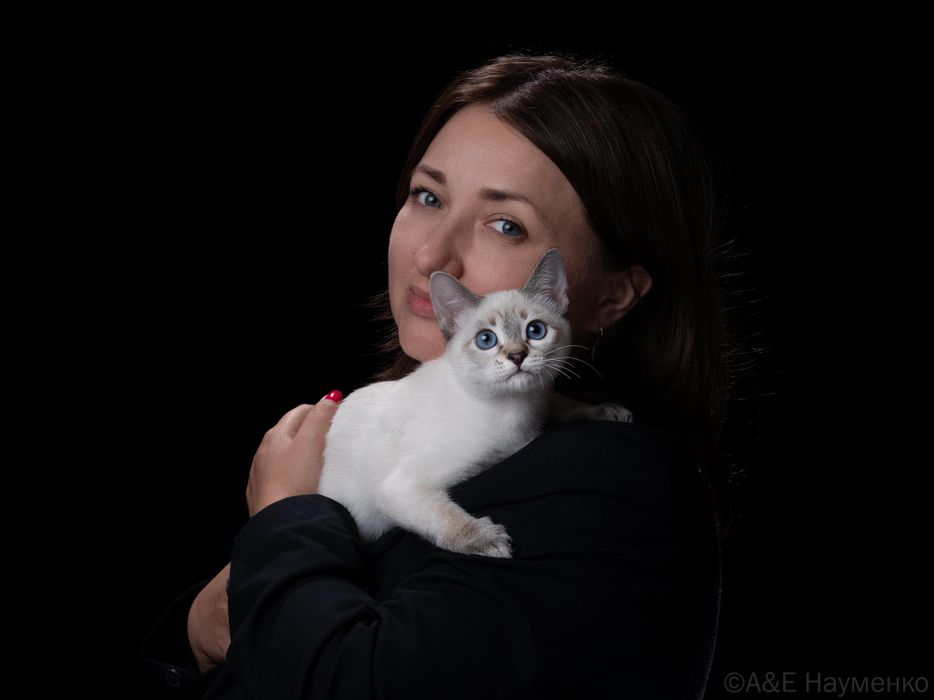 Дом Волгиных, окрас сил-пойнт