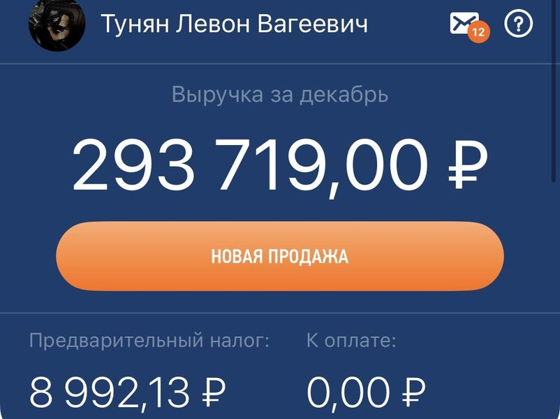 Выручка за декабрь 293 719 рублей